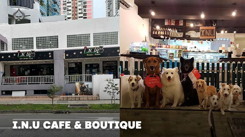 Dog Cafe Singapore: I.N.U Cafe Boutique.