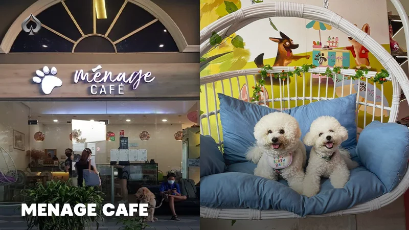 Dog Cafe Singapore: Menage Cafe.