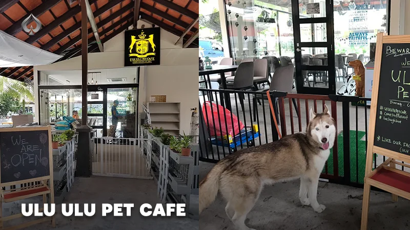 Dog Cafe Singapore: Ulu Ulu Pet Cafe.