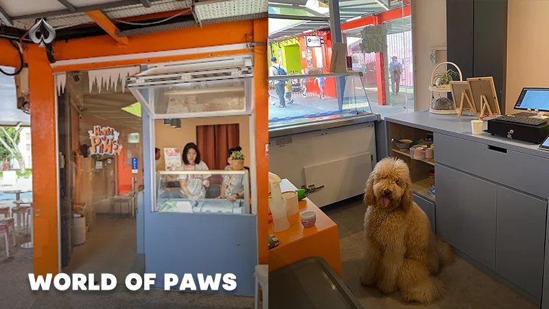 Dog Cafe Singapore: World of Paws Cafe.