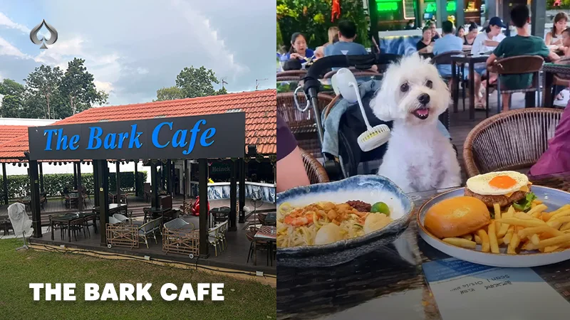 Dog Cafe Singapore: The Bark Cafe.