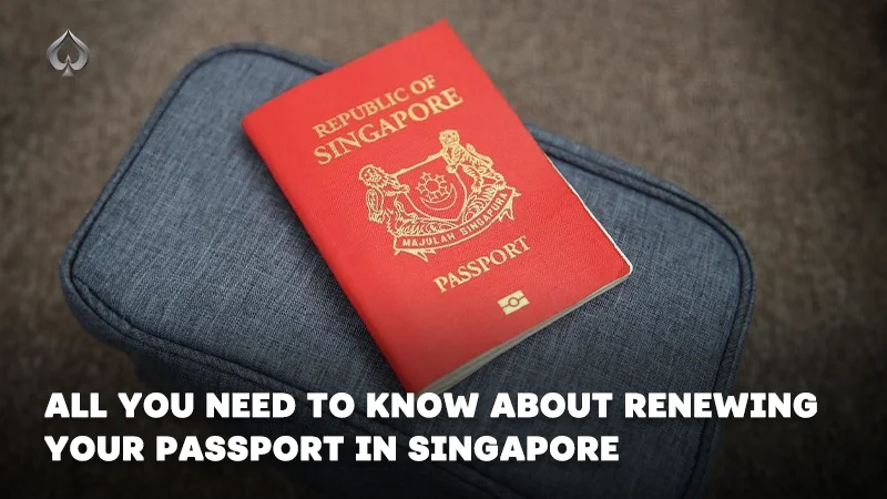 all-you-need-to-know-about-renewing-passport-in-singapore